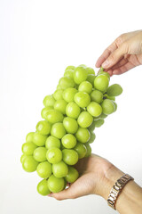 Fresh Green Grapes in Hands - Healthy Fruit Nutrition Concept