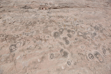 Rock surface texture with circular erosion patterns in Arizona desert
