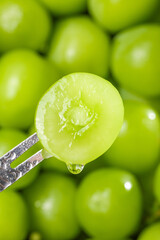 Fresh Green Grape Slice with Water Droplet Held in Tweezers Close-up