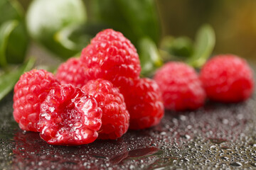 Fresh Red Raspberries with Water Droplets on Wet Surface - Organic Berry Close-up