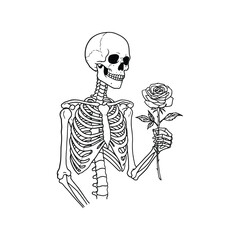 Hand drawn skeleton holding a single rose illustration art vector