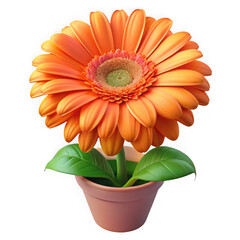Vibrant orange gerbera daisy flower in full bloom with green leaves in a pot
