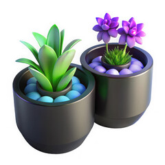 Two potted plants succulent and echeveria in cylindrical pots with decorative stones