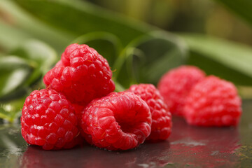 Fresh Red Raspberries with Green Leaves Background - Organic Berry Fruit Close-up