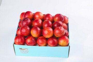 Fresh Red Yellow Plums in Turquoise Box White Background Food Photography