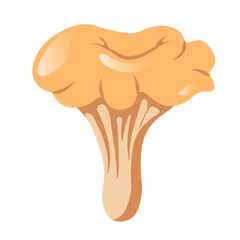 Chanterelle Mushroom in Flat Style Icon isolated on white Background. Orange or Yellow Fresh Mushroom. Edible Fungi Chanterelle. Vector Illustration.