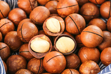 Fresh Macadamia Nuts in Shell with Creamy White Kernels - Premium Imported Dried Nuts Collection