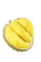 Fototapeta premium Fresh Golden Durian Fruit Opened Showing Creamy Pulp Segments Inside Spiky Shell Isolated on White Background