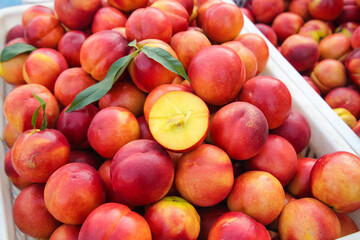 Fresh Nectarines from Shanxi China Orchard Harvest - Ripe Stone Fruit in Container Display