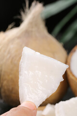 Fresh Coconut Meat Slice from Thailand - Tropical Fruit Natural White Flesh