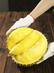 Fresh Golden Durian Fruit Pulp from Thailand with Protective Gloves on Wooden Table