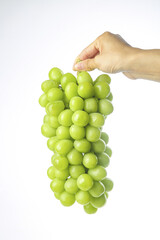 Fresh Green Grapes Bunch Held by Hand on White Background