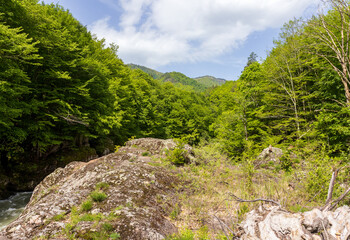 the river and the surrounding area with woodlands and clearings with paths