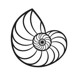 Elegant Nautilus Shell Illustration with a Spiraling Pattern on White