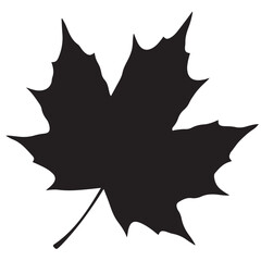 Silhouette of a Maple Leaf Isolated on White