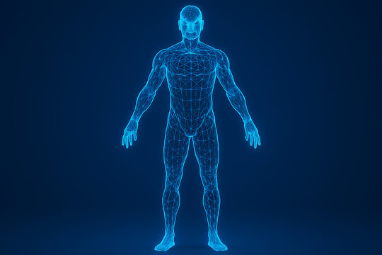 A futuristic digital wireframe of a standing human body on a dark blue background showcasing technology and artificial intelligence in a virtual reality concept