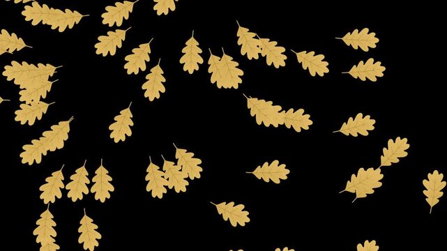 Falling Oak Leaves