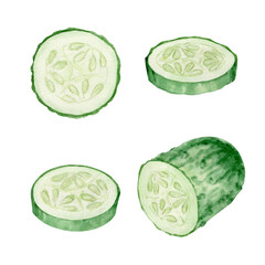 Hand drawn watercolor illustration of cucumber. Half of cucumber and sliced cucumber fruit. Clipart for ecomarket, kitchen menu, food, natural cosmetics label. Isolated background. Isolated