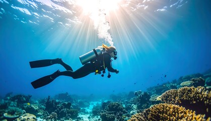 Underwater diver exploring coral reef