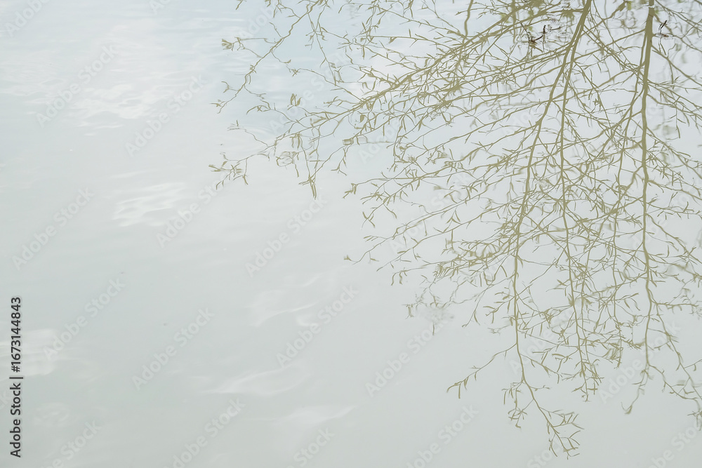 Fototapete Background of reflection of dry bushes in water with abstract shapes and textures. Copy space for text. For graphic design, 3D rendering and banner background