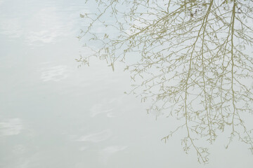 Background of reflection of dry bushes in water with abstract shapes and textures. Copy space for...