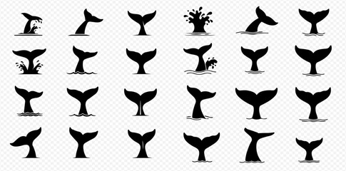 Collection of whale tail silhouettes emerging from water in various positions, isolated on a transparent background.