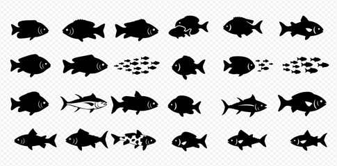 A collection of diverse fish silhouettes, including single fish and groups, presented in a grid on a transparent background.