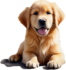 golden retriever puppy isolated on white, watercolor painting of a puppy