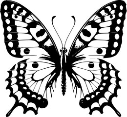 Detailed monochrome butterfly illustration showcasing intricate wing patterns and delicate antennae design art