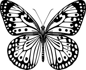 Detailed monochrome butterfly illustration with intricate wing patterns and delicate antennae design