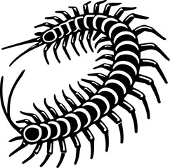 Illustration of a centipede with many legs and a segmented body in black and white color scheme style