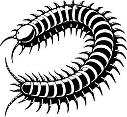 Illustration of a centipede with many legs and black and white stripes in a curled position design