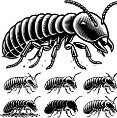 Illustration of a large termite and several smaller termites in black and white vector format style art