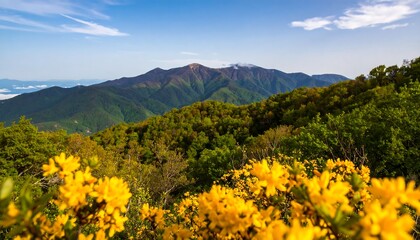 Vibrant Yellow Flowers Bloom in Foreground with Majestic Mountain Range Under Blue Sky.