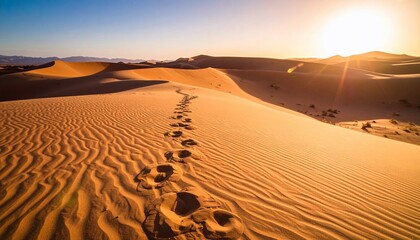 Footprints in the Sand Dunes Leading Towards the Sunset in the Desert Landscape