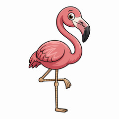 flamingo vector illustration