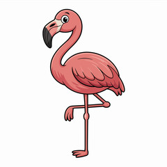flamingo vector illustration