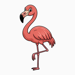 flamingo vector illustration