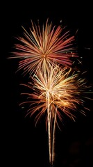 Obraz premium Colorful fireworks illuminating the night sky.