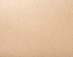 Fototapeta premium Rustic kraft paper background with faint pressed texture soft light