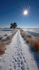 Snow-covered path leads to a sunlit horizon