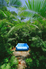 Bright blue couch amidst lush green jungle foliage creates a serene escape in nature's embrace