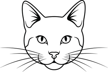 Illustration of a cat face with whiskers on white background