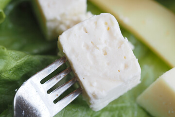 Fresh cheese cube on a fork with green lettuce