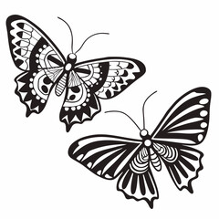 butterfly vector illustration