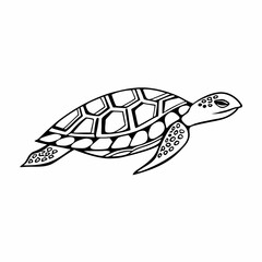 swimming turtle coloring page
