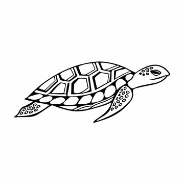 swimming turtle coloring page