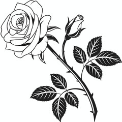 Elegant rose with bud and leaves