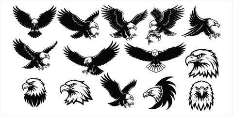 Assortment of Fifteen Black and White Eagle and Hawk Illustrations bird raptor