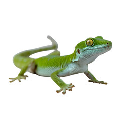 Obraz premium Modern steam iron in white and blue isolated on transparent background for garment care